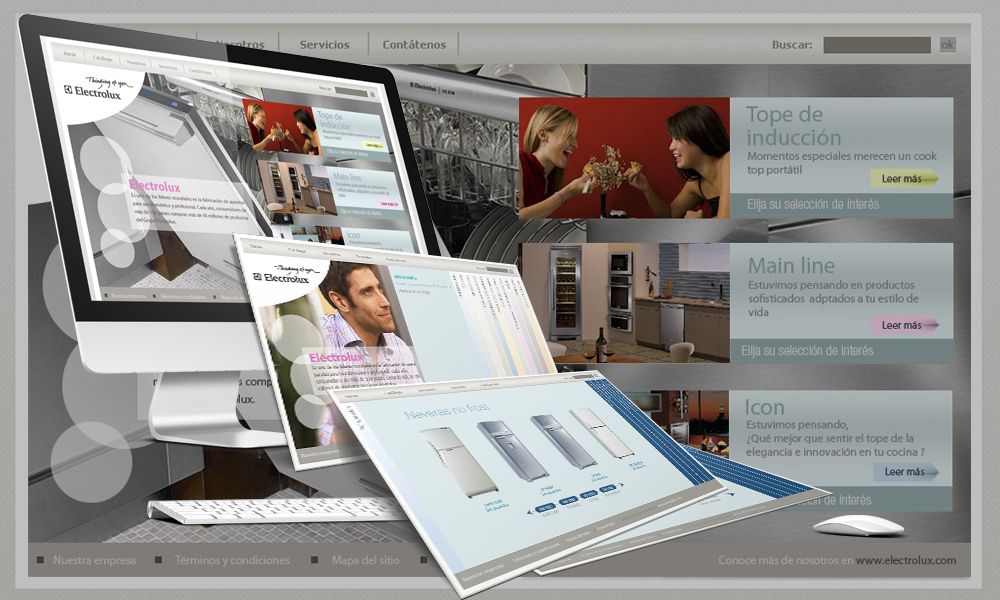 Desarrollo-Electrolux.jpg